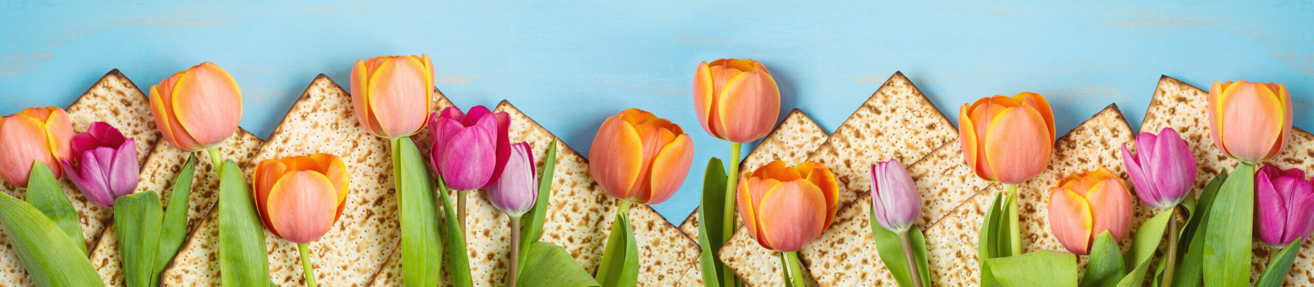 Pesach 5786