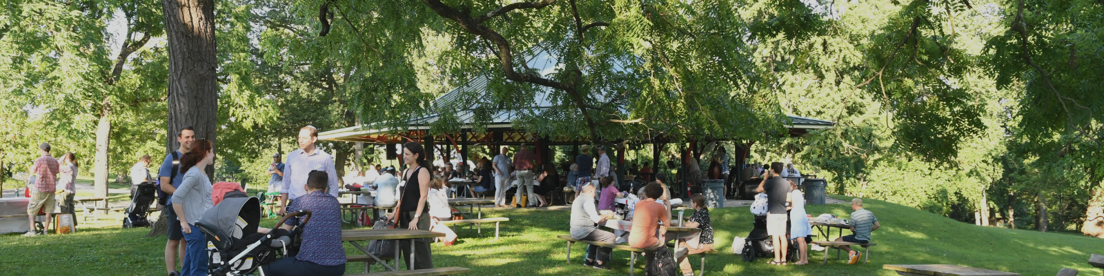 Summer Services in the Park